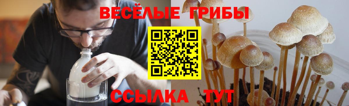 Псилоцибиновые грибы MAGIC MUSHROOMS Воронеж